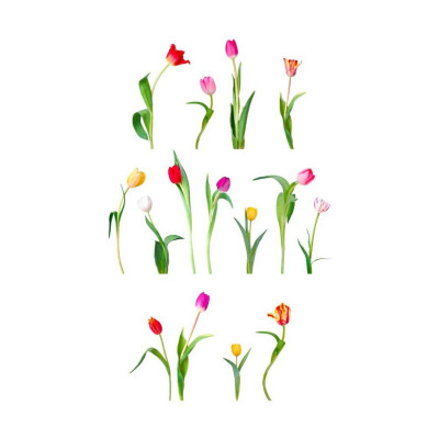 Stickers 70 x 20 cm - Tulipes