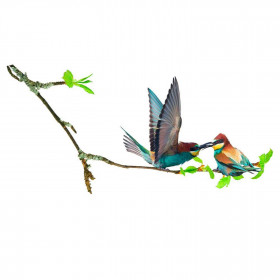 Sticker - Oiseaux Exotiques sur Branche - 70 x 20 cm