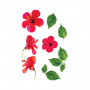 Sticker 20 x 70 - Fleurs d'Hibiscus