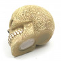 Crâne Tirelire Décorée - Nazca Sud Américain Motif