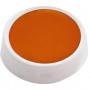 Palette de fard gras 10 gr Orange