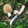 Couteau à champignons OPINEL- 955