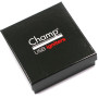 Briquet USB allume cigare de la marque Champ modèle gris chromé
