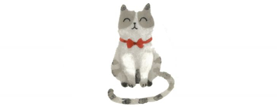 Vaisselle "Isidore" collection avec illustrations d'un petit Chat